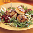 Scallops